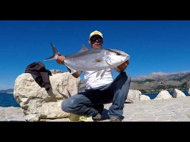 Fishing Amberjack off the rocks, Fishing Greece