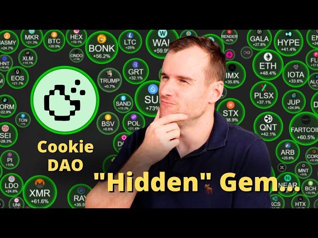 Can Cookie DAO Reach $1.00?  COOKIE Crypto Token Analysis