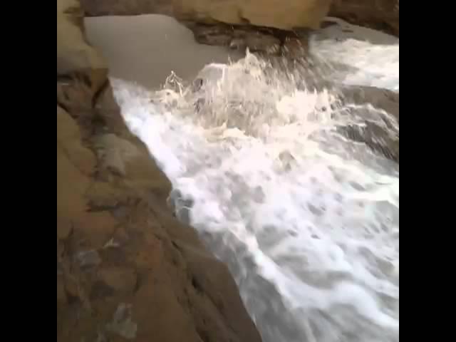 HILARIOUS BEACH FALL VINE!