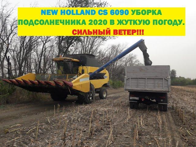 NEW HOLLAND CS 6090 УБОРКА ПОДСОЛНЕЧНИКА 2020 В ЖУТКУЮ ПОГОДУ.