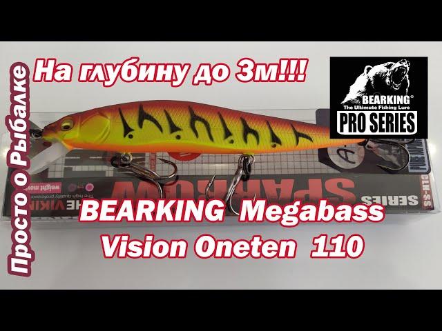 Недорогой Воблер на щуку из Китая. Реплика BEARKING  Megabass Vision Oneten  110. Твичинг воблеров.