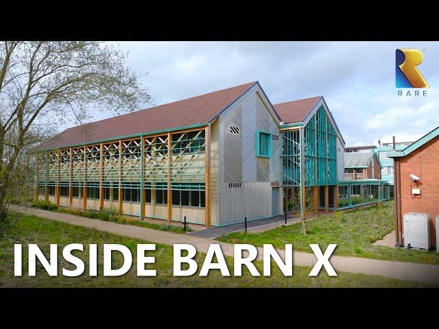 Introducing Barn X