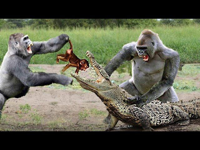 10 Amazing Moments Of Prey Escapes Predators