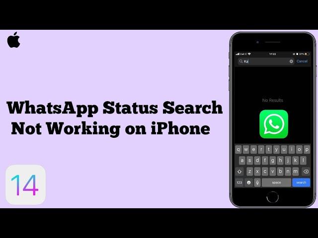 WhatsApp Status Search Not Working on iPhone in iOS 14.3 - Here's the Fix