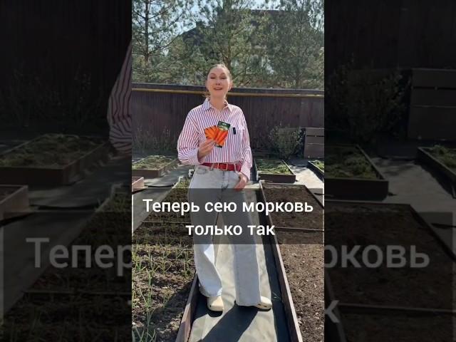 Теперь сею морковь только так #дача #садоводничество #огород #сад #морковь #дачныйответ
