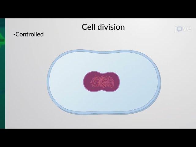 JoVE Core: Cell Biology