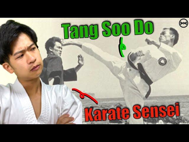 Japanese Karate Sensei Reacts To Tang Soo Do For The FIRST Time!