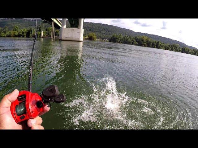 FISHING WITH BLUEGILL FOR CATFISH!!! Tips, Setup, Technique