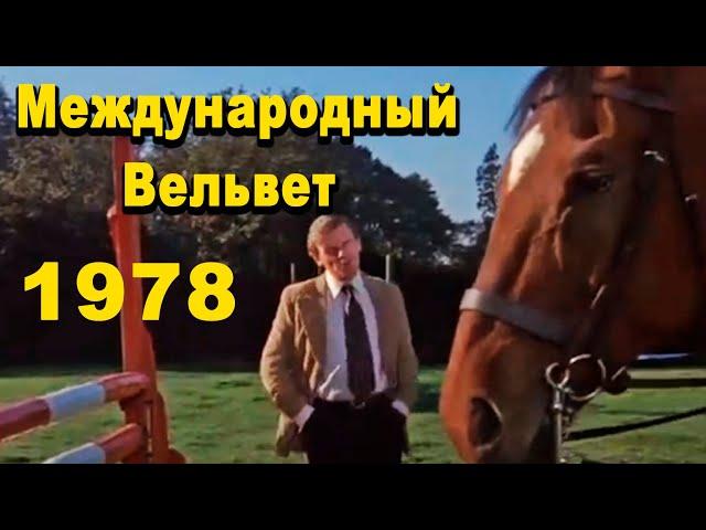 Международный вельвет 1978 / Фильмы о лошадях