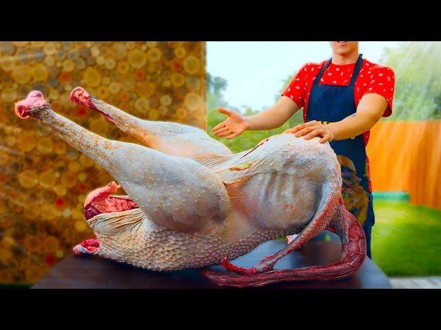 WE PREPARED A HUGE OSTRICH WEIGHING 54 KILOGRAMS