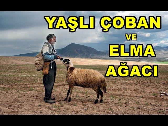 Yaşlı çoban ve elma ağacı - ibretlik dini hikayeler - kısa kıssa