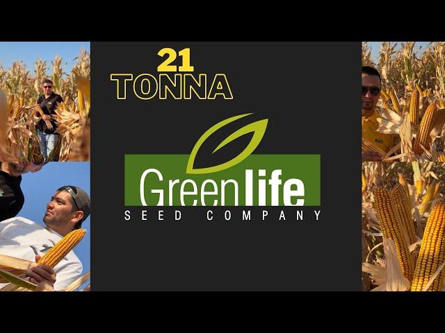 Makajohori tanlashda nimalarga e’tibor berishni bilasizmi ? Greenlife pl 700