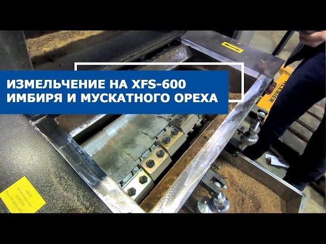 Дробилка для специй: Измельчение имбиря и мускатного ореха на дробилке XFS-600