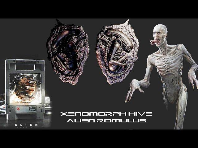 How the Xenomorph Hive was Created in Alien Romulus Station