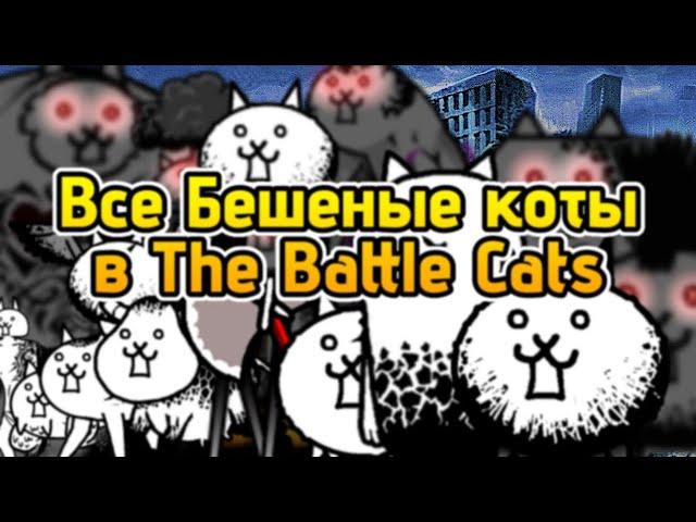 Все Бешеные коты в Battle Cats | Основная информация и то что нужно знать