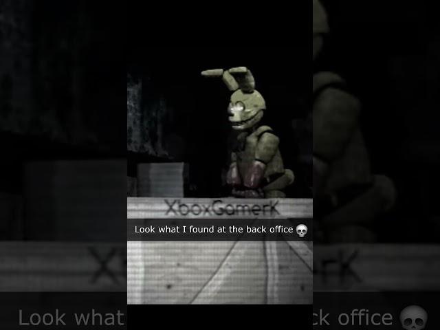 Back footage of Springbonnie (FNAF VHS animation)