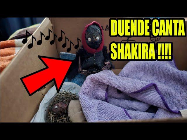 DUENDES REALES hacen TRAVESURAS en CASA 21 | Laguna Negra