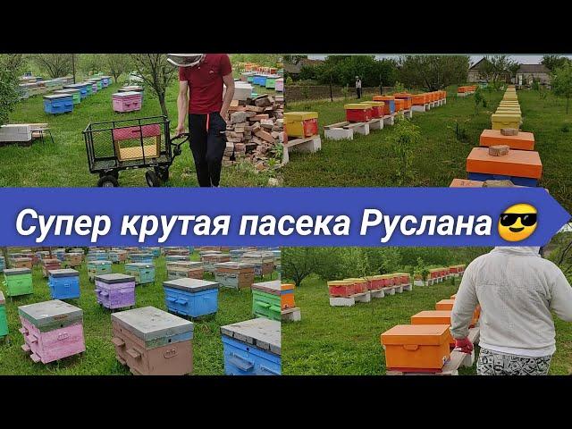 Самая лучшая пасека по нашему мнению, в гости к Руслану