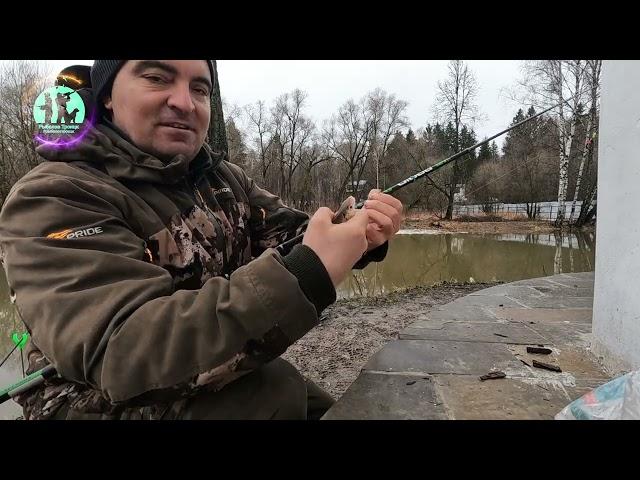 Фидер ранней весной на р.Десна в г.Троицк