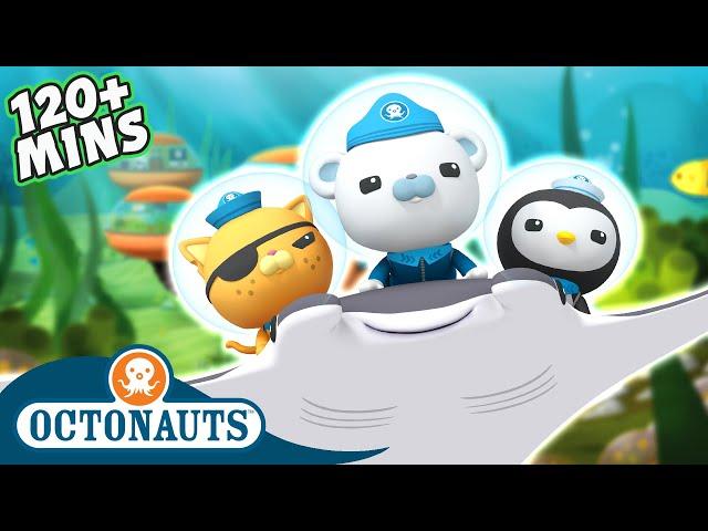 #Summer Octonauts - 2 Hour Special! | Cartoons for Kids | Underwater Sea Education