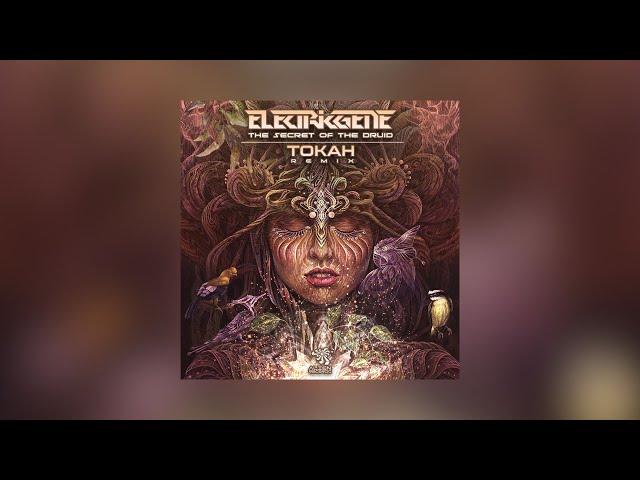 Electric Gene - The Secret Of The Druid (Tokah Remix)