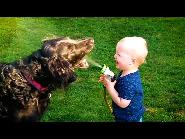 20 Minutes of HILARIOUS Babies Laughing With Pets  | Kids and Animals 