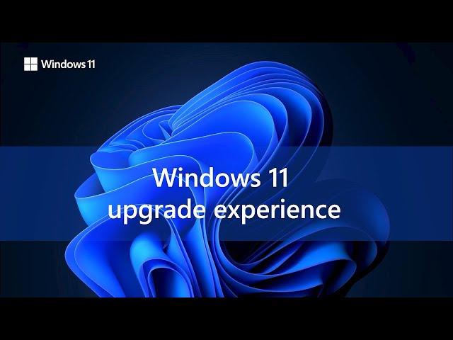 Windows 11 Upgrade Experience