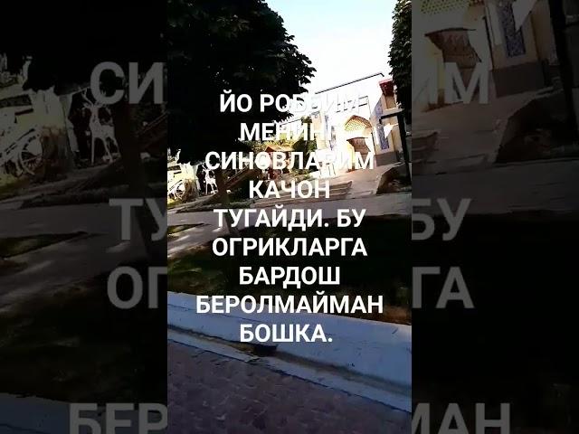 6 августа 2023 г.