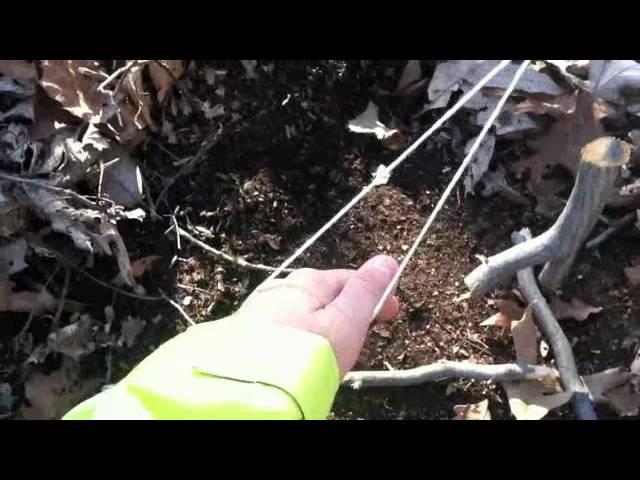 Spring Pole Snare