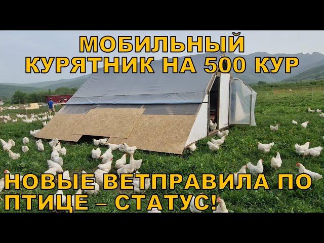 Новые ветправила по птице - готовлю свои предложения + Переместили новый курятник на 500 голов