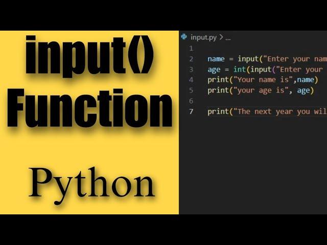 Python Input Function: A Comprehensive Guide for User Interaction