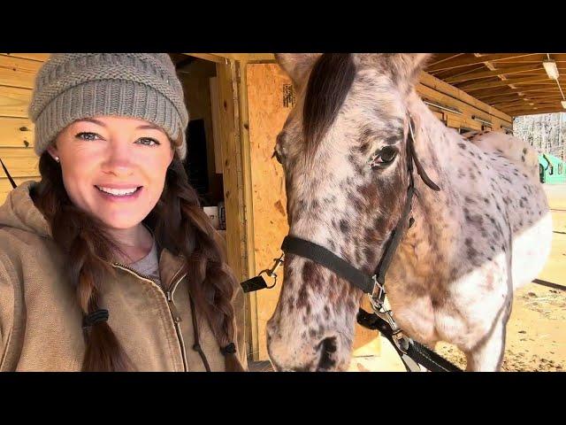 WORKING ALL 5 HORSES IN ONE DAY! // DAY IN THE LIFE