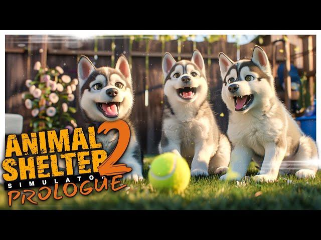 Getting These Adorable Pets ADOPTED! // Animal Shelter 2 Prologue