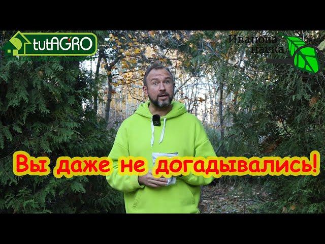 6 ВОПРОСОВ и ОТВЕТОВ о ТРИХОДЕРМЕ и БОВЕРИИ: они опасны? закисляют почву? и многое другое.