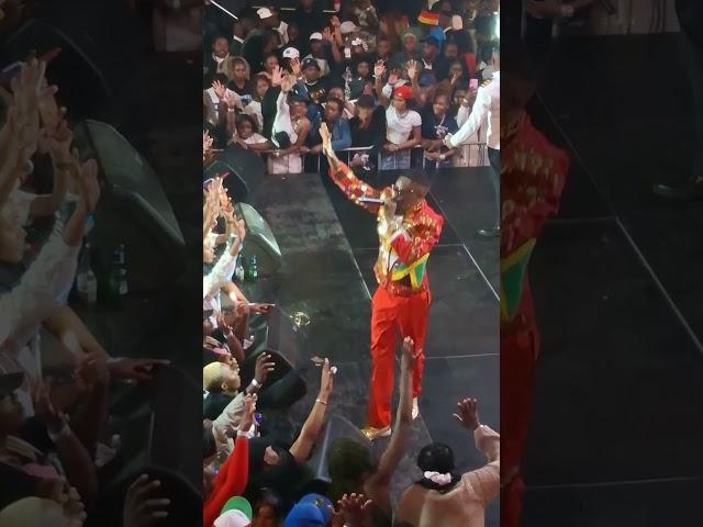 Master H - Hachi (Propaganda) #capleton #masterh #zimdancehall