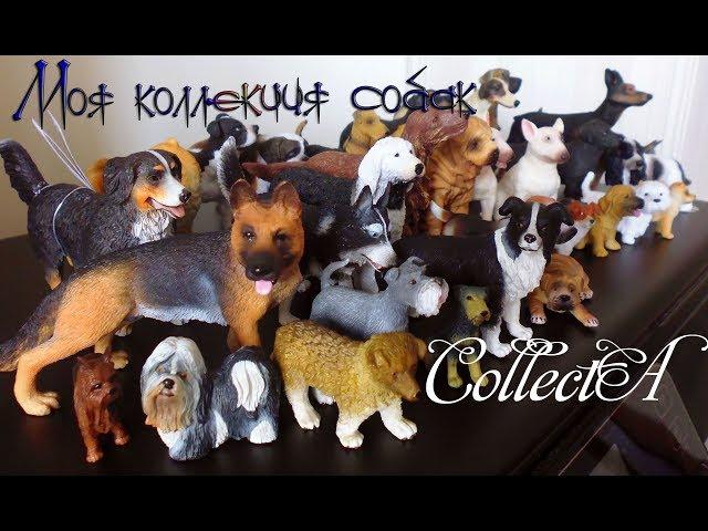 Моя коллекция собак от фирмы CollectA/ My collection of dogs by CollectA