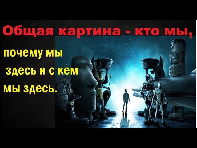 Общая картина  - кто мы, почему мы здесь и с кем мы здесь.