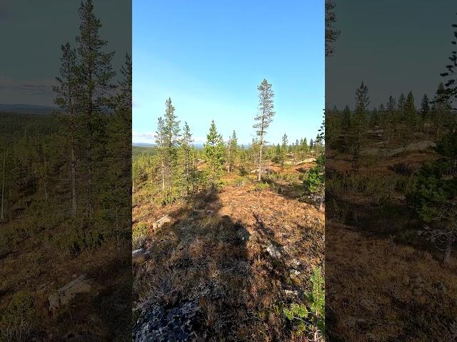 Lappi erävideot Urho Kekkosen Kansallispuisto