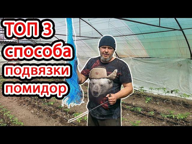 3 ЛУЧШИХ СПОСОБА Подвязки Помидор в теплице