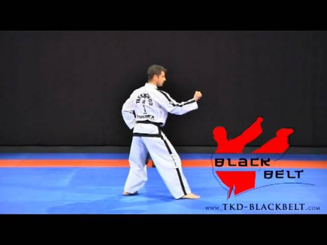 CHON - JI by Jaroslaw Suska - www.tkd-blackbelt.com