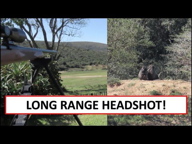 Long Range Baboon Hunt