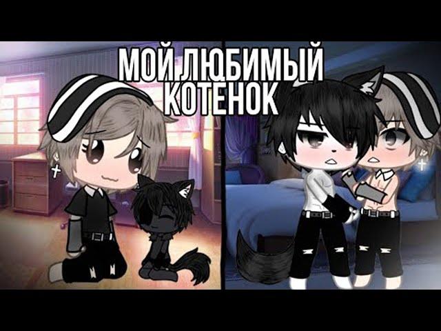 Озвучка яой фильма Мой любимый котёнок 8 частей гача лайф gacha life