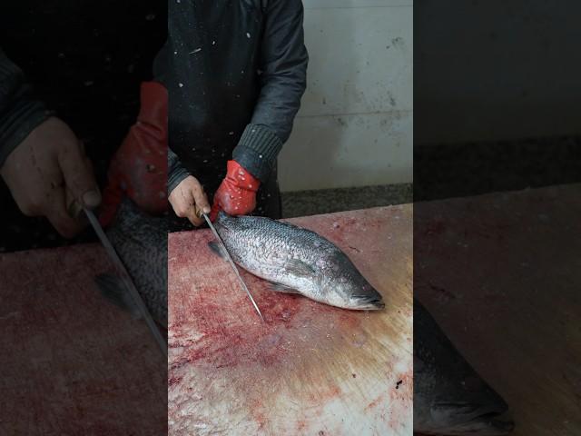 Crazy Sharp Knife vs Barramundi | Fillet & Scale Like a Master
