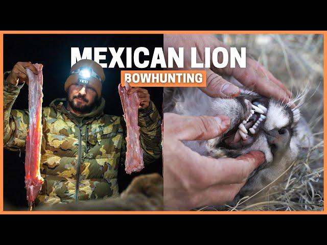 Bowhunting Mountain Lion in Mexico:  Is it really the Best Wild Meat? ‍️