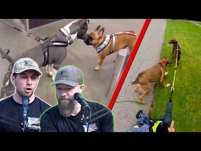 Dog Trainers React to Dog Fight Videos