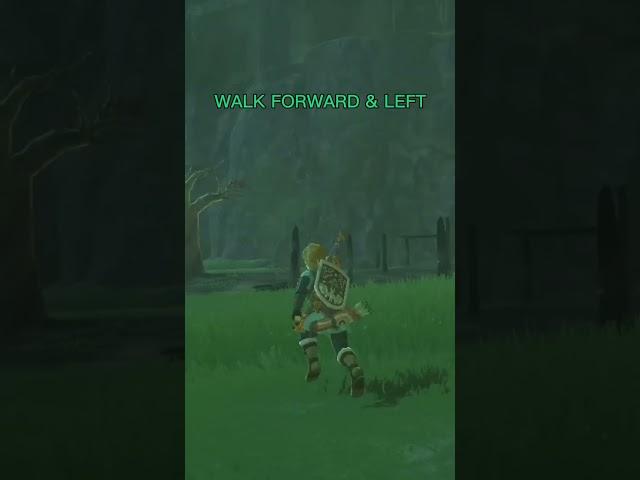 BotW Boomerang Exploit 🪃 Breath of the Wild Trick  #breathofthewild #shorts