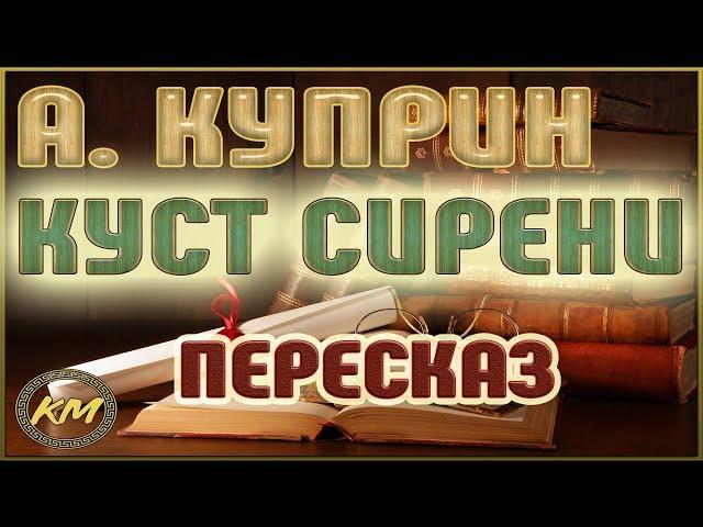 Куст сирени. Александр Куприн