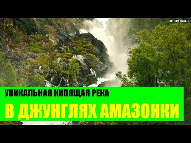 Уникальная кипящая река в джунглях Амазонки