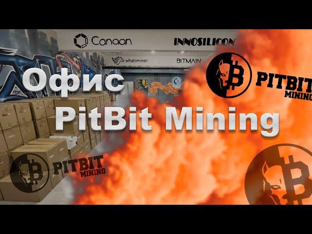 Обзор офиса PitBit Mining