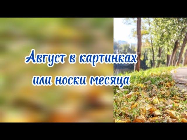 Носки месяца,  моменты августа и отчёт в СП НОСОЧНАЯ КОРОБОЧКА _4 с @Katerina_Shurm